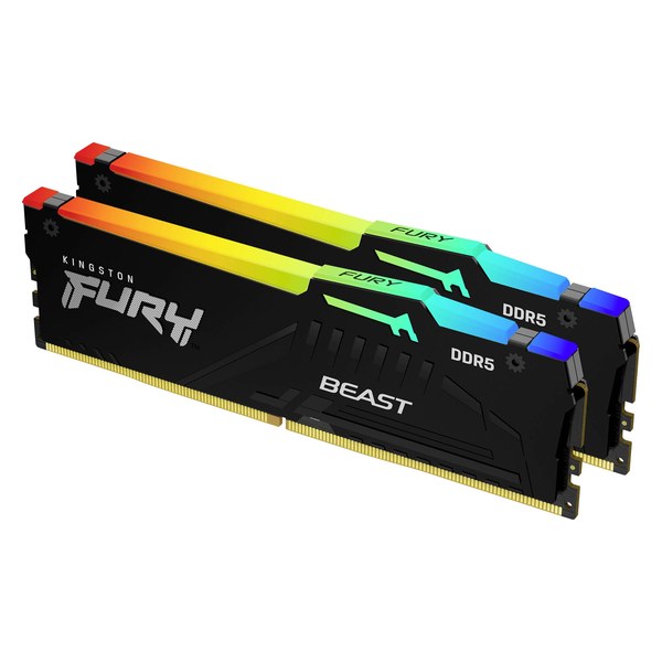 FURY Beast DDR5